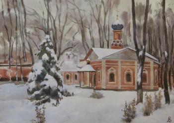 Donskoy Monastery. Snowy winter