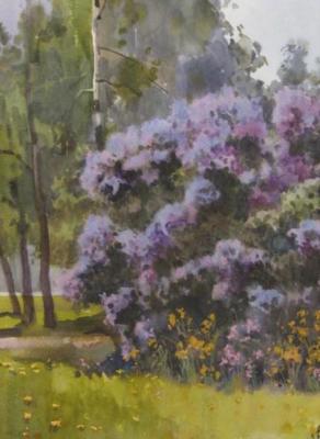 Lilac blossoms (). Lapovok Vladimir