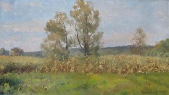 Field corn (Corn Field). Shevchuk Vasiliy