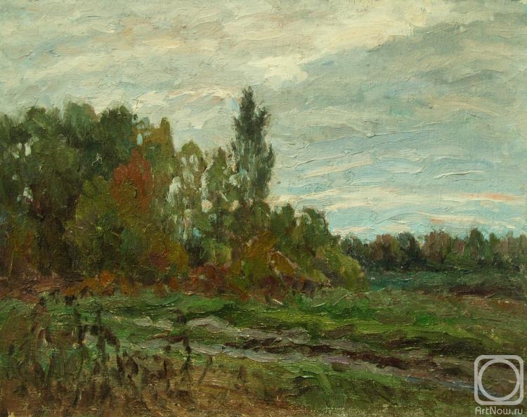 Rudin Petr. Mostly cloudy