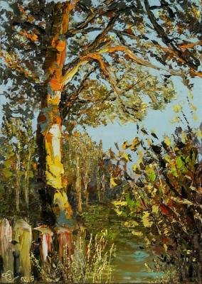 Pine in the autumn sun. Stolyarov Vadim