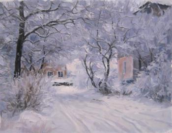 Snowy February. Voronov Vladimir