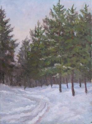 In the winter forest. Popov Sergey