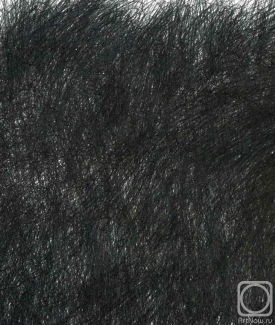 ������ ����. ��� �������� OF-X171