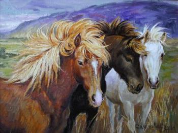 Wild horses. Simonova Olga