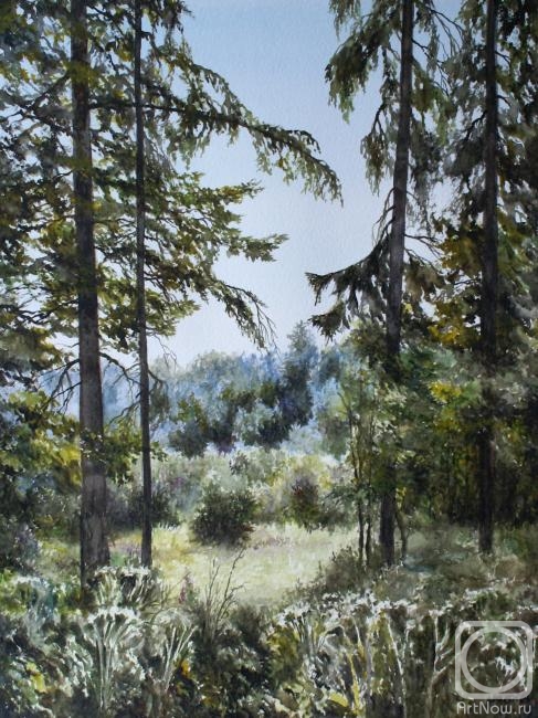 �������. �������� ������. ��������� ������