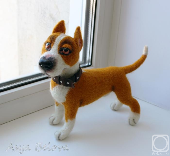 ������ ���. ������ �� ������ ����