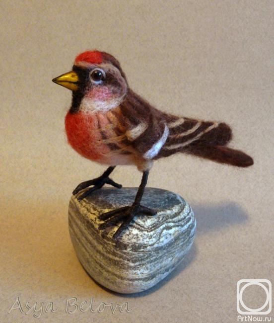 ������ ���. �������