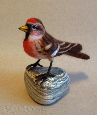 �������