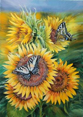 Butterflies on sunflowers