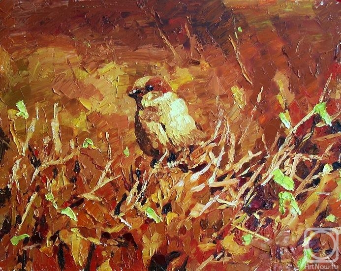 Rudnik Mihkail. Sparrow