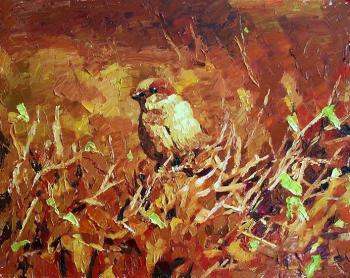 ������� ��������