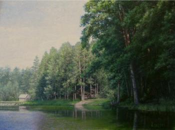 Gorlice Pond in July. Maryin Alexey