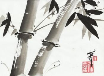Bamboo. Karellin Paul