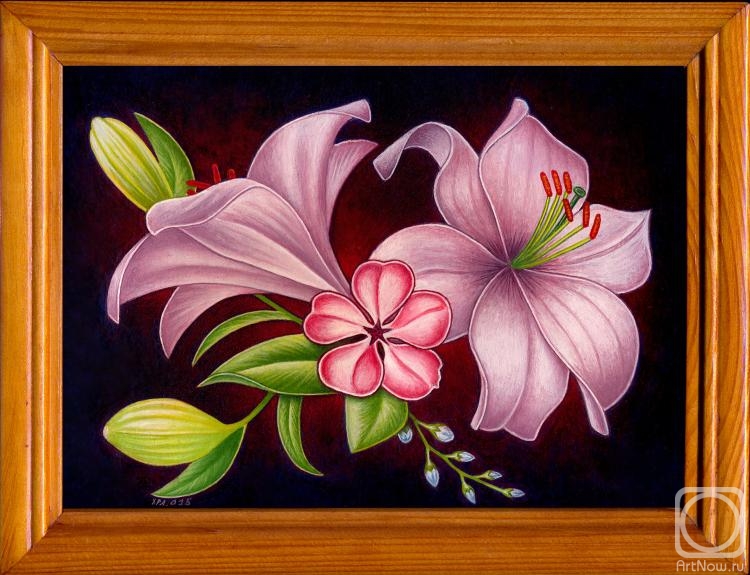 �������. ���������� ��������. �����