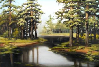 Black small river. Kuznetsov Sergey