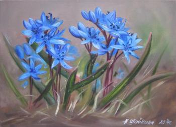 Proleski. Shaykina Natalia