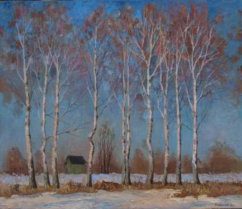 Country house among the birches. Chernyy Alexandr