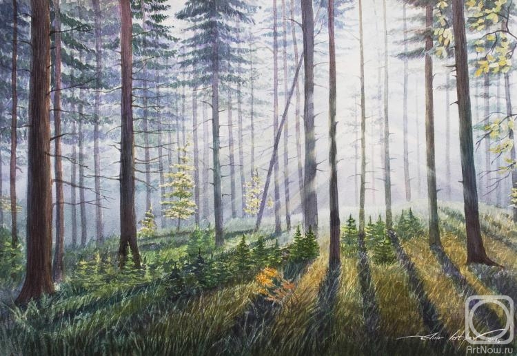 �������. ������� ����. ���� �����