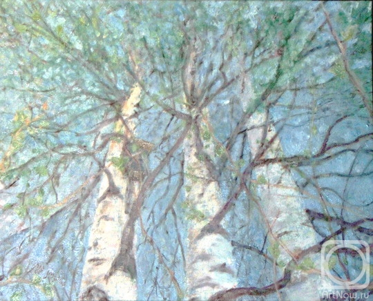 ������� ������ �� ������. ����� ���. � ���� ������� ������ �����!!!