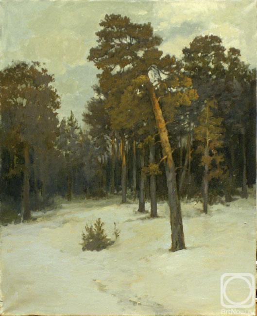 ������� ������ �� ������. �������� ���. ���a � ����