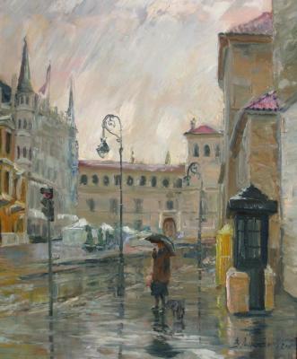 Leon in Rain. Spain. Loukianov Victor