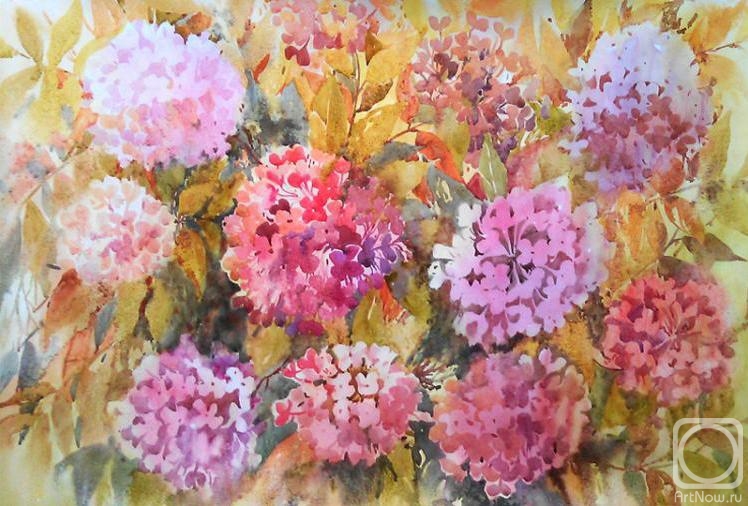 �������. �������� ����. ��������