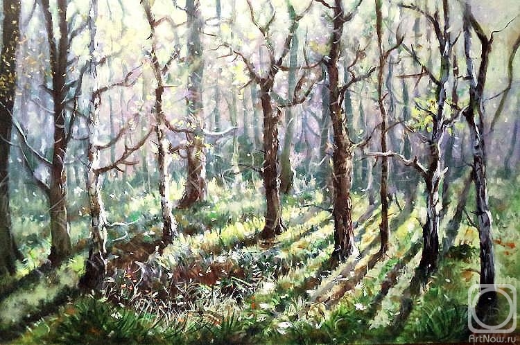 ������� ������ �� ������. ������� �������. �������� ���