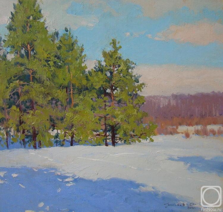 Gololobov Evgenij. Young pines