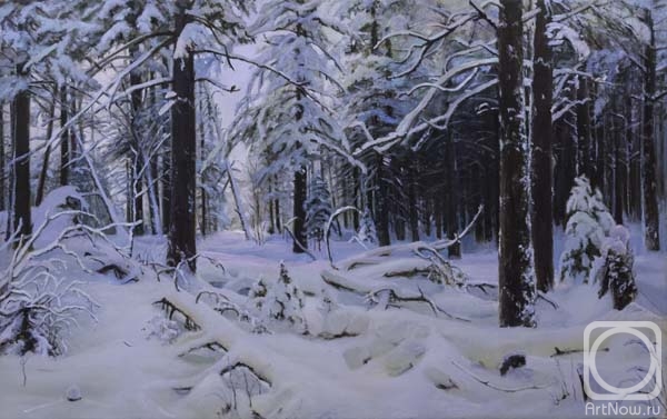 Seregin Sergey. A Winter forest. A Copy from the art work of I.Shishkin