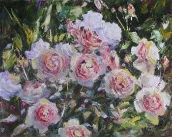 ������� �������� ���