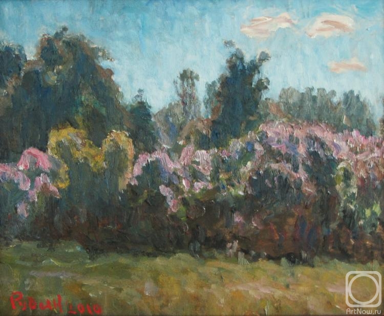 Rudin Petr. Lilacs in the sun cards