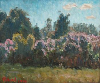 Lilacs in the sun cards. Rudin Petr