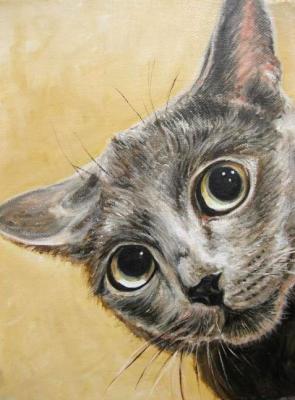 ������ (�����������). �������� ����