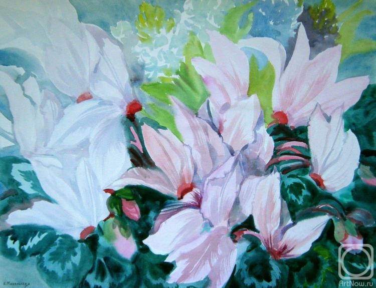 �������. ���������� ���������. �����������