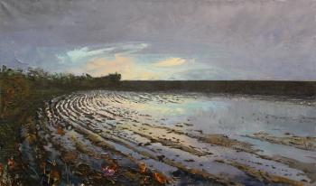 Tin collective-farm. Field (Stalks). Rasteryaev Viacheslav