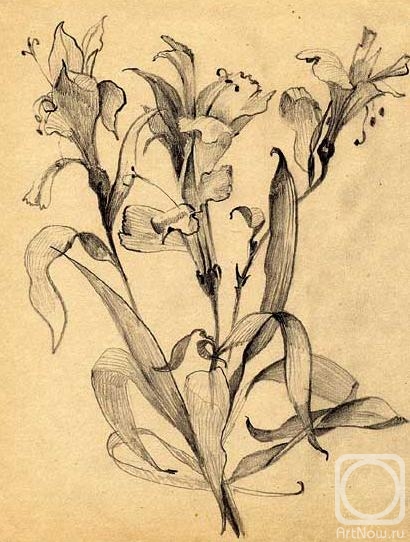Gerasimov Vladimir. Flowers, sketches 8