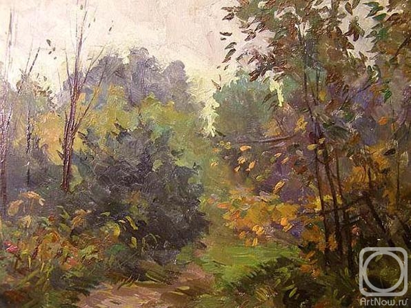 Gerasimov Vladimir. Izmailovo 4