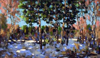 ������� ���������� ����