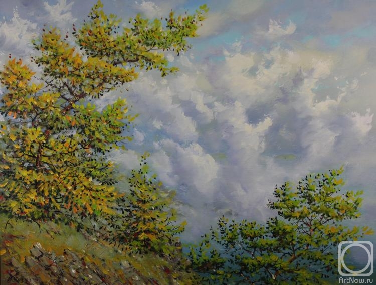 ������� ������ �� ������. �������� ������. ������, ��� ������