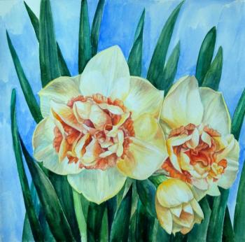 ������� ����������