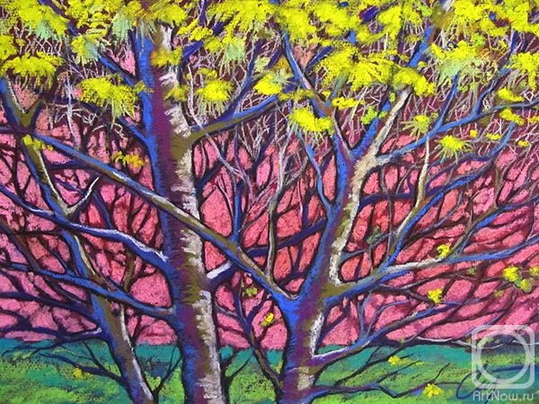 �������. ������� ������. ������ � �����