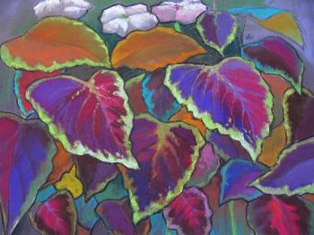 ������� ������ ����. ������� ������