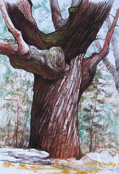 Stuliev Leonid. Hero