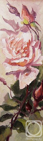 ������� ������ �� ������. ��������� ��������. ���� 11