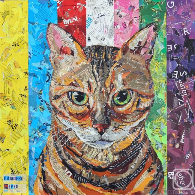 Lipacheva Maria. The Cat