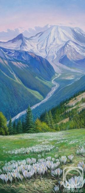 ������� ������ �� ������. ������ ������. ���� (������)