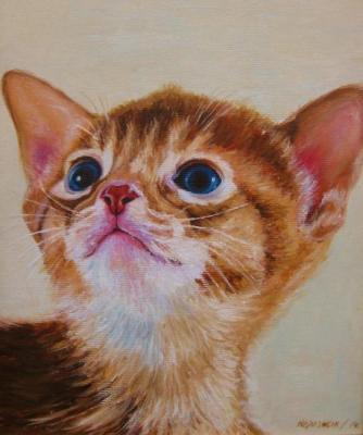 �����. �������� ����