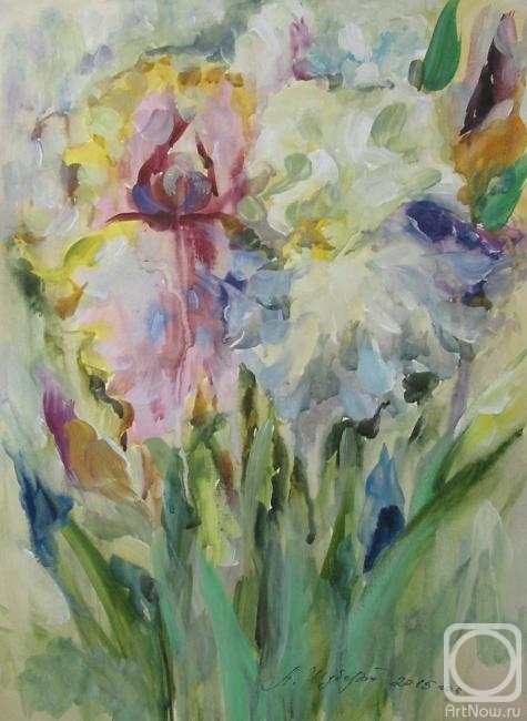 Schubert Albina. Untitled