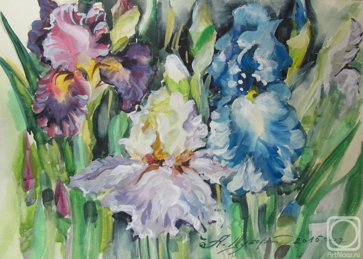 Schubert Albina. Untitled